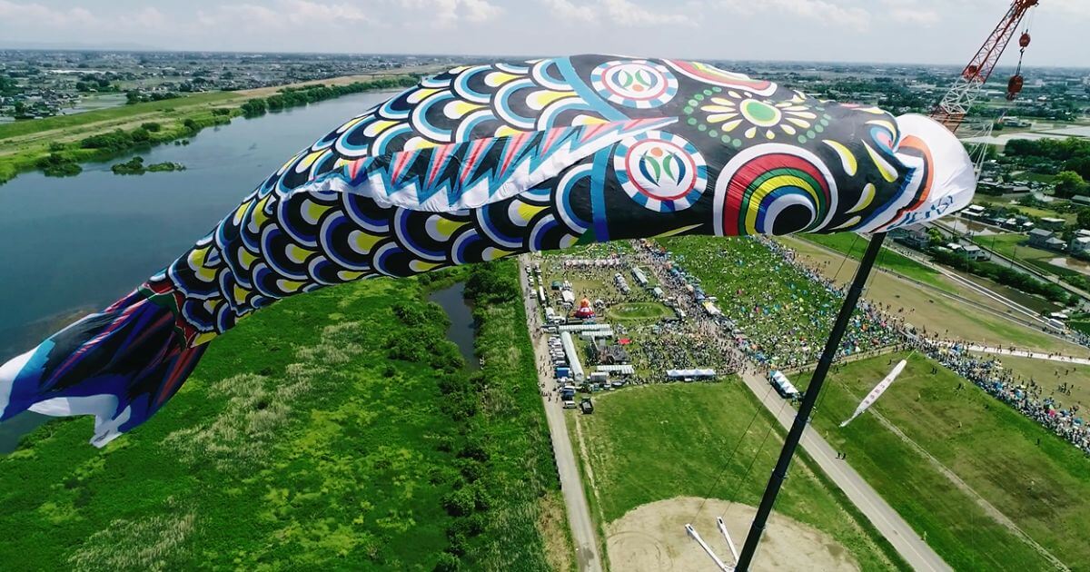 加須市の巨大鯉のぼり